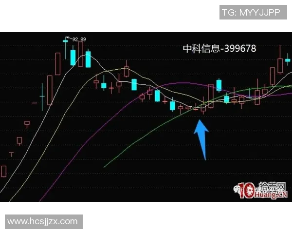 V5战队的盯防体系解析与英雄联盟战术的深度探讨