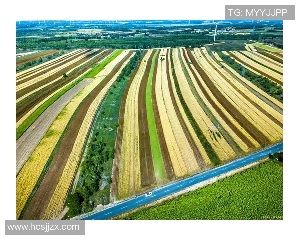 五谷丰登与农业可持续发展：探索传统农作物的未来价值与挑战